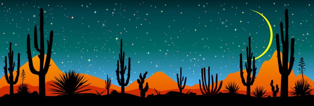 ToF Behang planten sterrennacht boven Mexicaanse woestijn