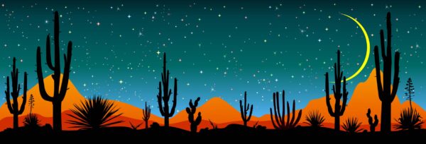ToF Behang bloemen sterrennacht boven Mexicaanse woestijn