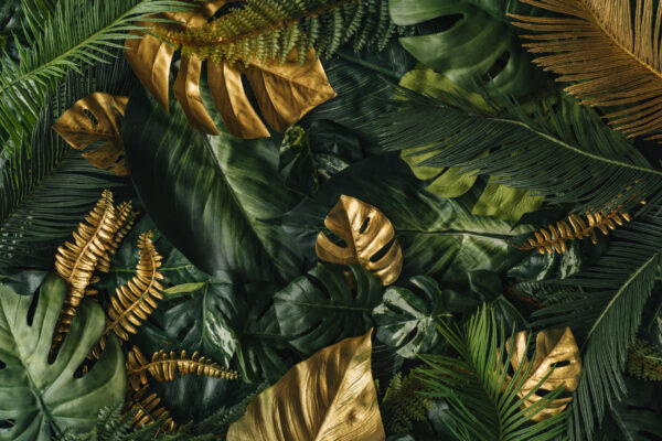 ToF Fotobehang jungle gouden bladen