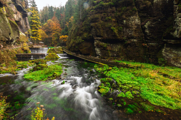 ToF Behang boho rivier met herfstbladeren en keien bij Kamenice rivier, Tsjechië