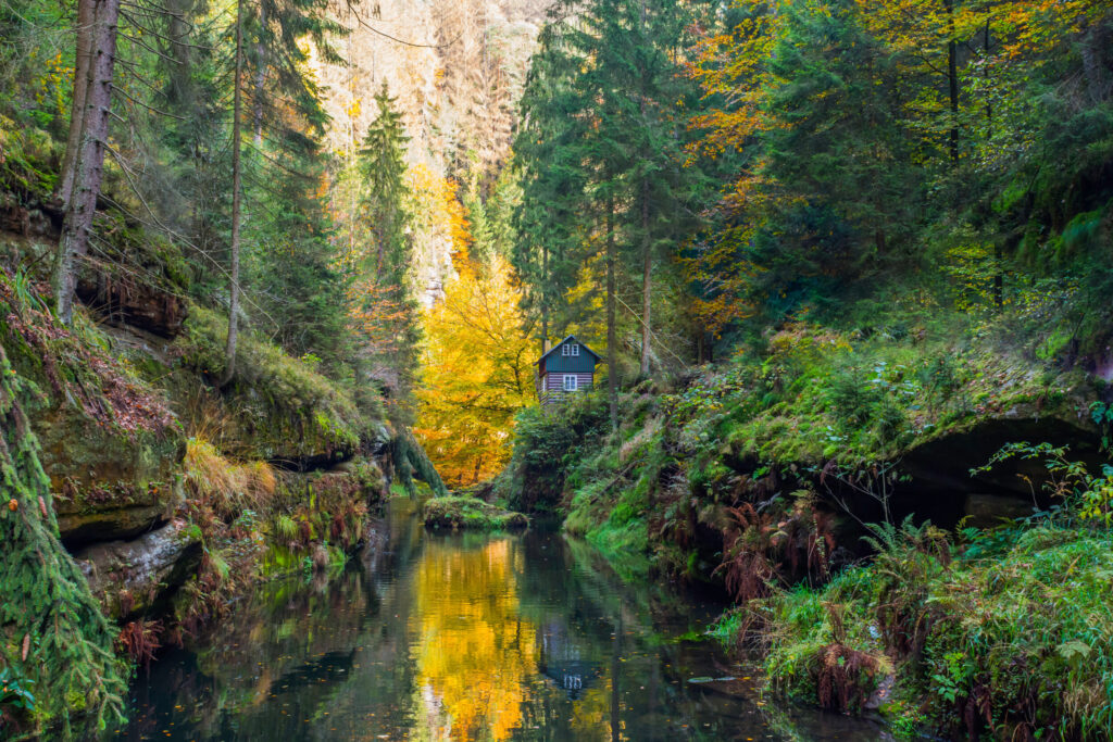 ToF Behang bos Gorges aan Kamenice rivier, Tsjechisch-Zwitserland