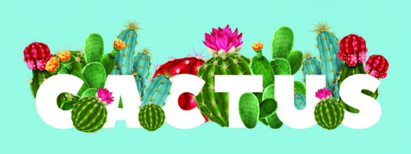 ToF Behang tropisch cactusbloemen met verschillende soorten vetplanten