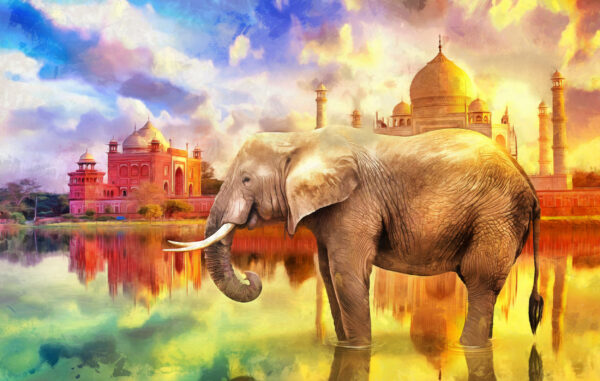 ToF Behang modern olieverfschilderij van olifant