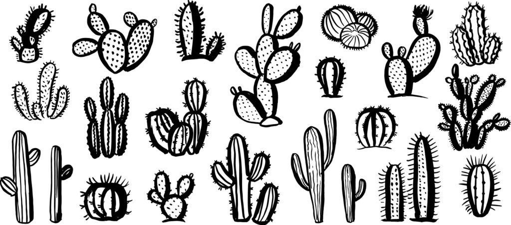 ToF Behang planten illustratie cactussen