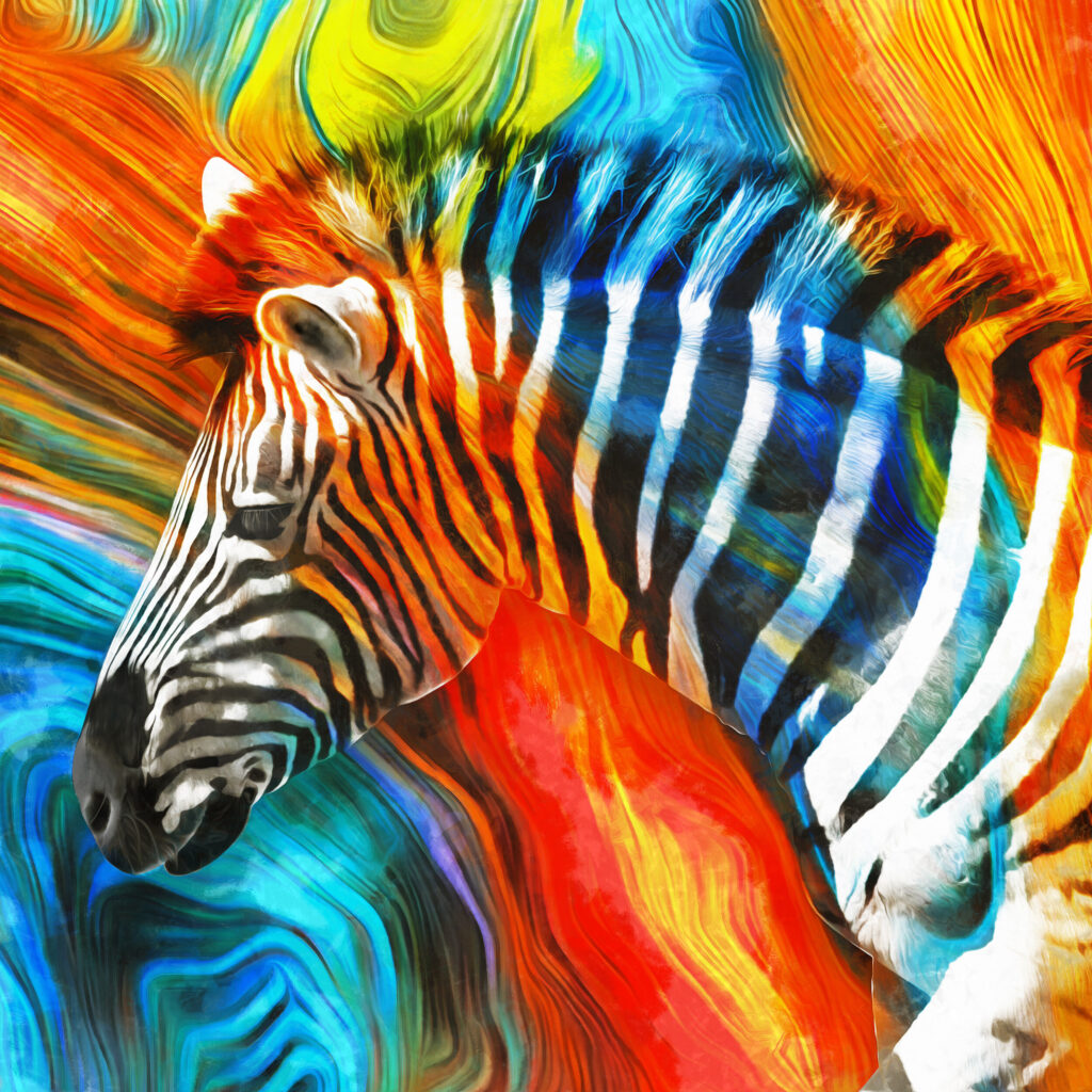ToF Fotobehang zebra met verschillende kleuren