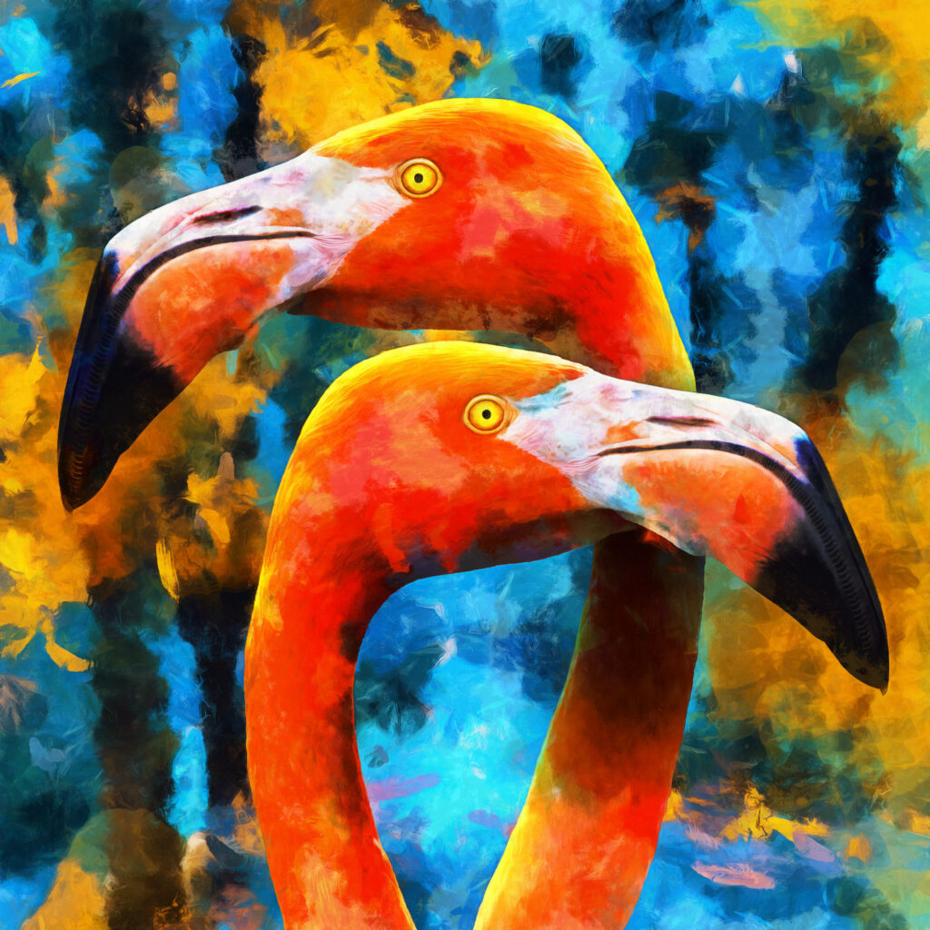 ToF Behang kleurrijke flamingo’s