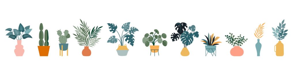 ToF Behang planten cactussen in potten
