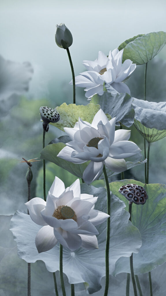 ToF Fotobehang Boeddha witte lotusbloem in meer