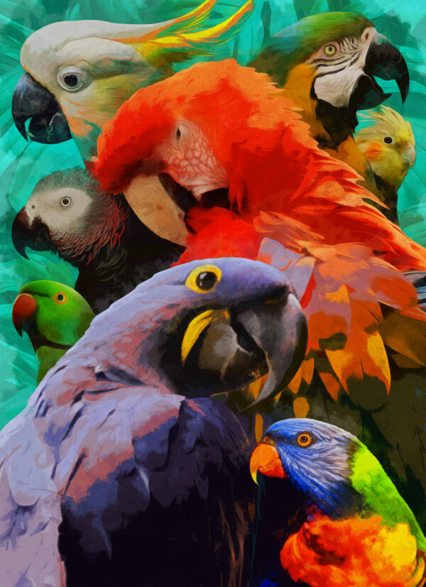 ToF Behang vogel verschillende papegaaien getekend