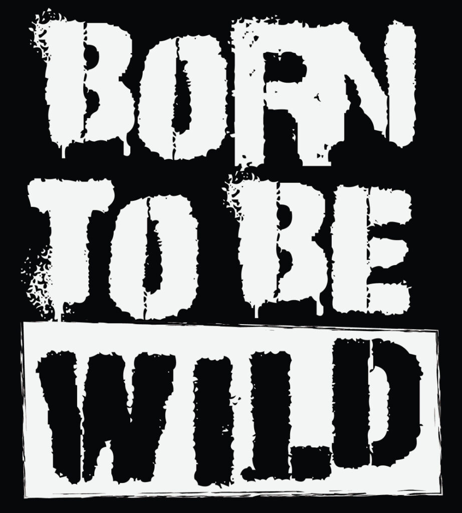 ToF Behang graffiti born to be wild