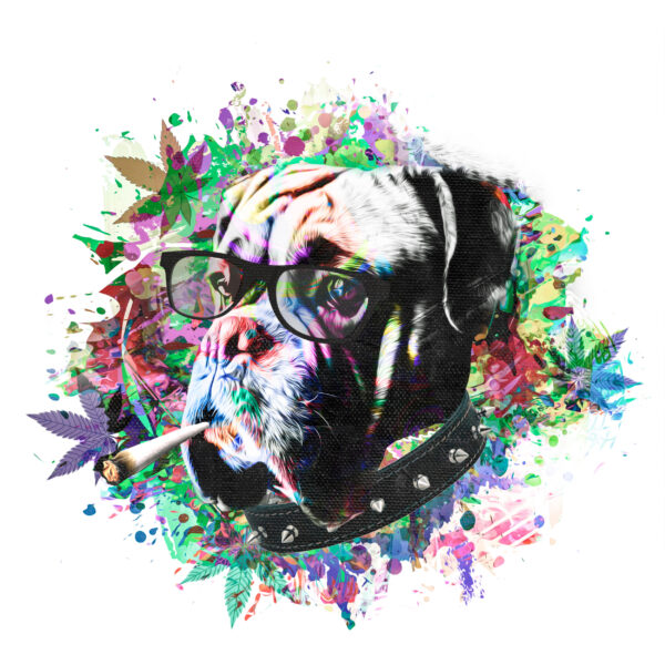 ToF Behang graffiti hond met sigaret en bril op