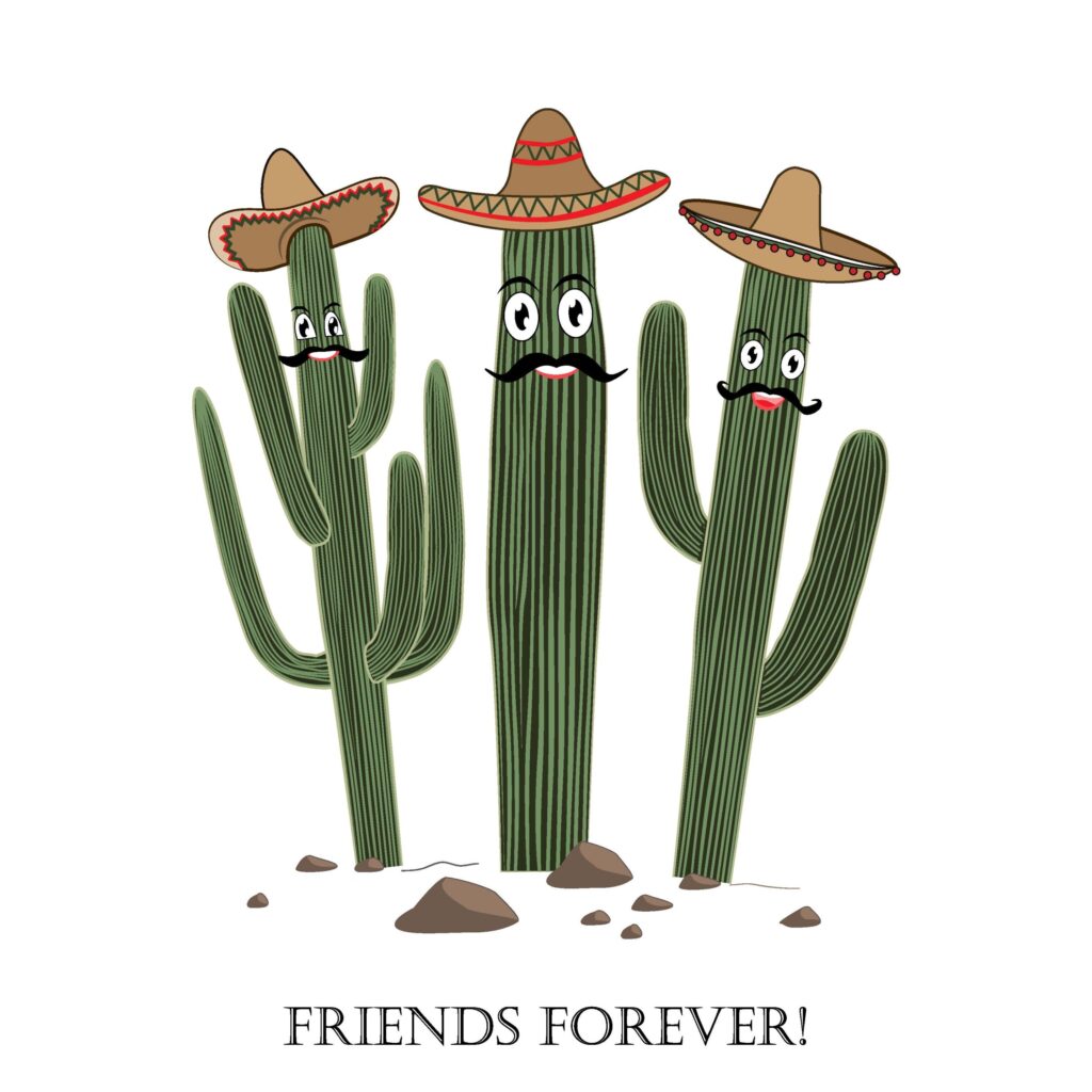 ToF Behang cactus cartoon