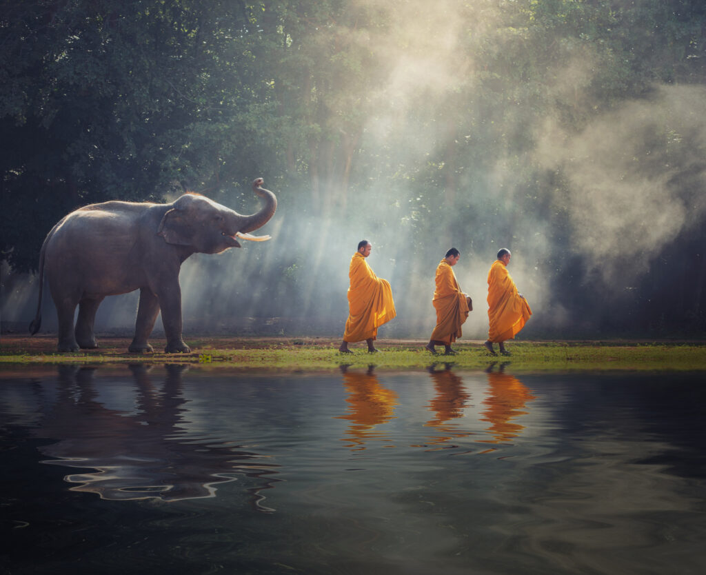 ToF Behang Boeddha Thailand, boeddhistische monniken met olifant