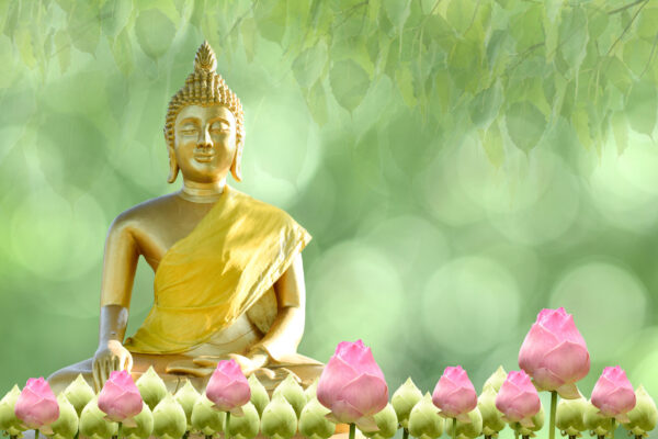 ToFFotobehang Boeddha beeld wazig bloemen achtergrond