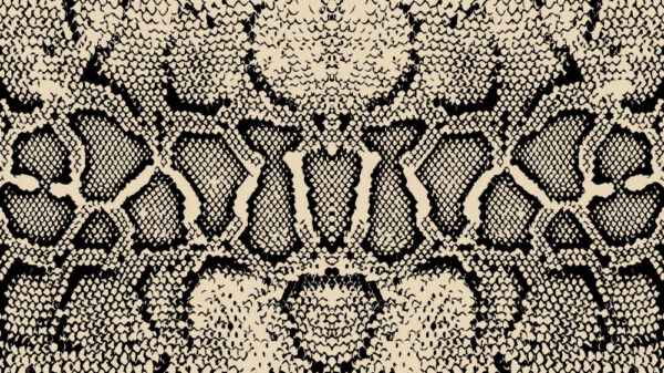 ToF Behang dieren illustratie close-up slangenhuid