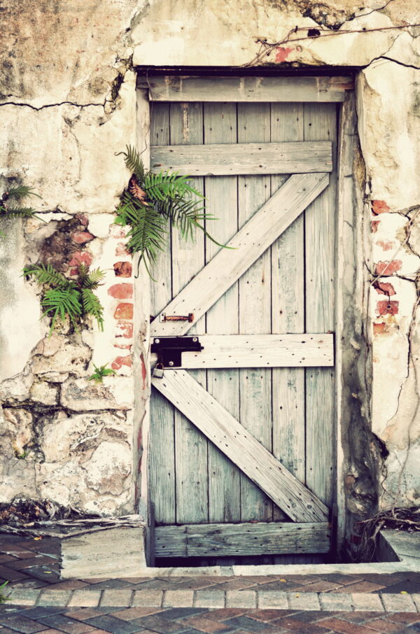 ToF Behang steden houten witte deur