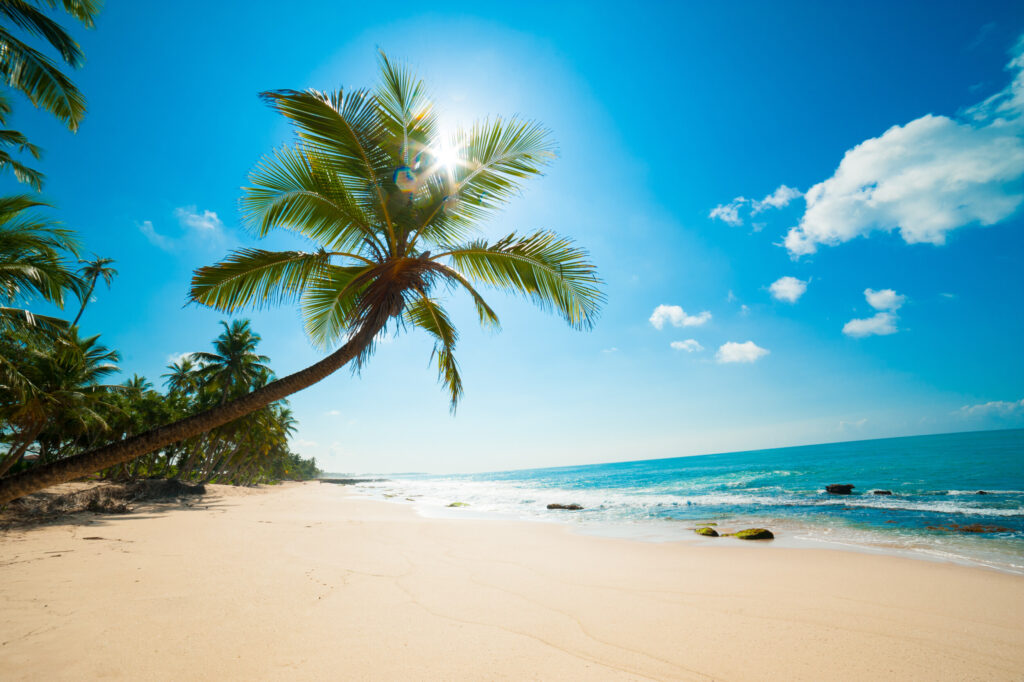 ToF Fotobehang tropisch strand met zon