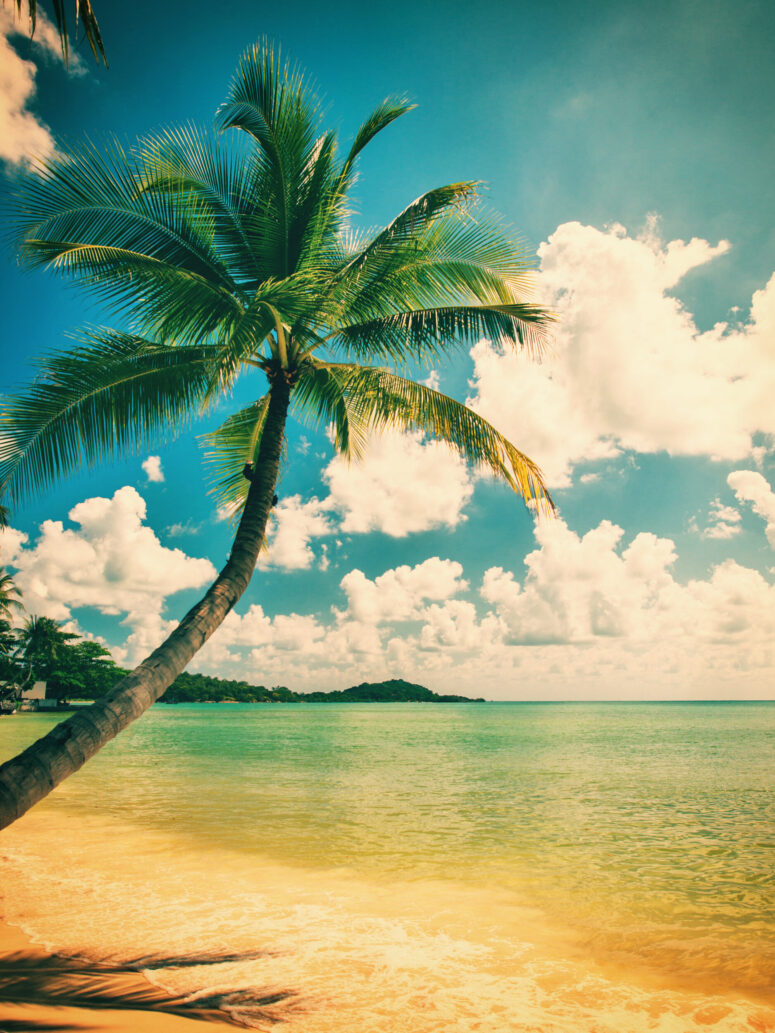 ToF Behang strand vintage