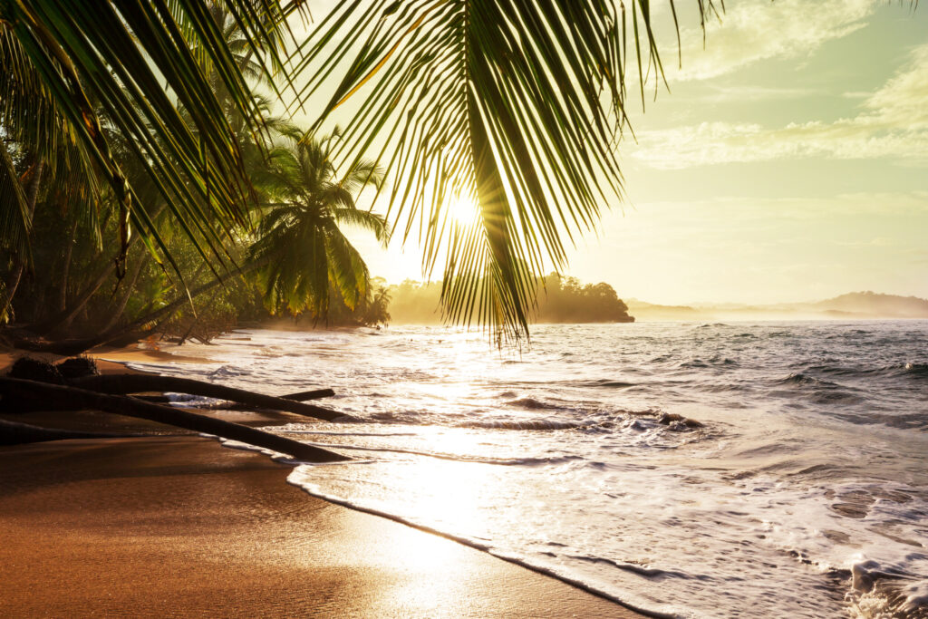 ToF Behang tropisch strand met zon