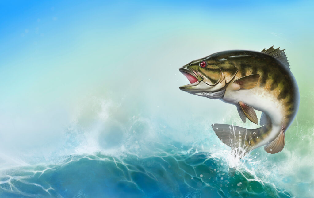 ToF Behang vissen illustratie van een basvis die uit het water springt