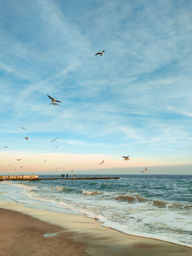 ToF Behang strand met meeuwen