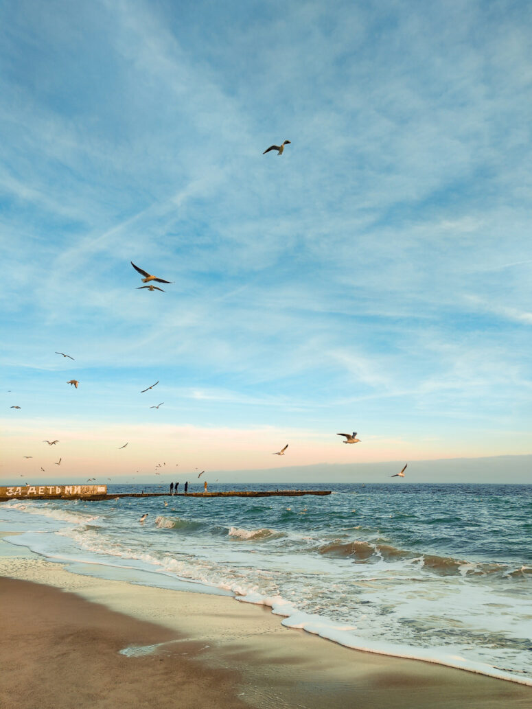 ToF Behang strand met meeuwen