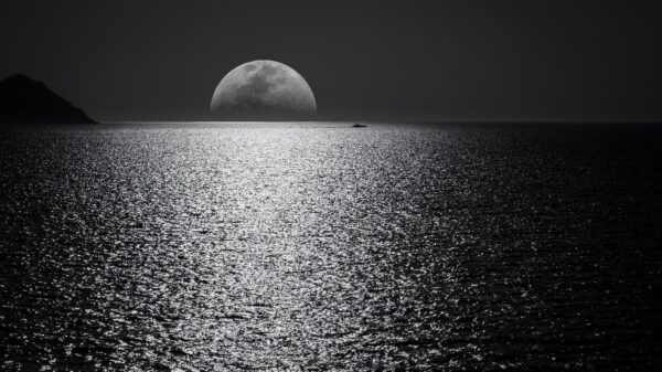 ToF Behang zwart-wit opkomende maan boven het water
