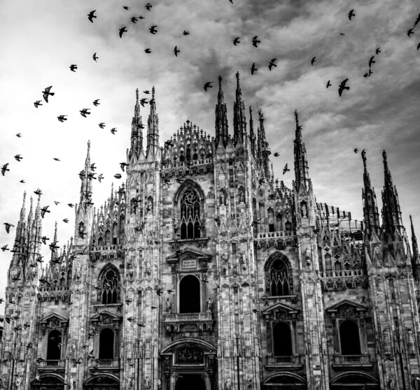 ToF Fotobehang zwart-wit kathedraal met vogels in de lucht