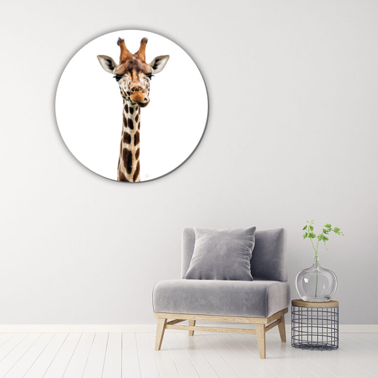 ToF Behangcirkel dieren giraf in kleur