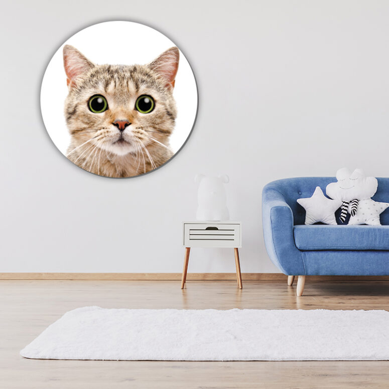 ToF Behangcirkel dieren lief katje