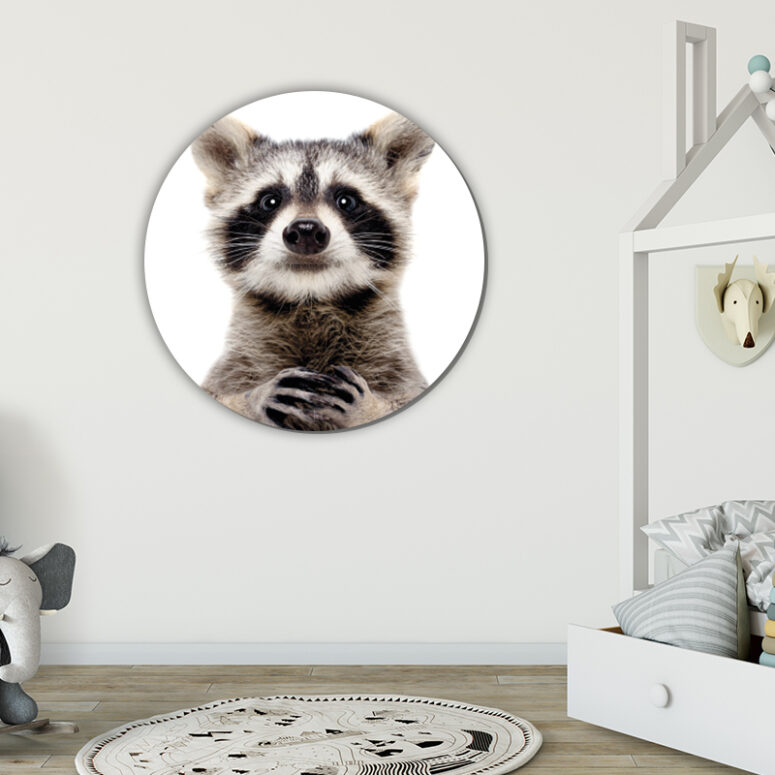 ToF Behangcirkel dieren schattige wasbeer