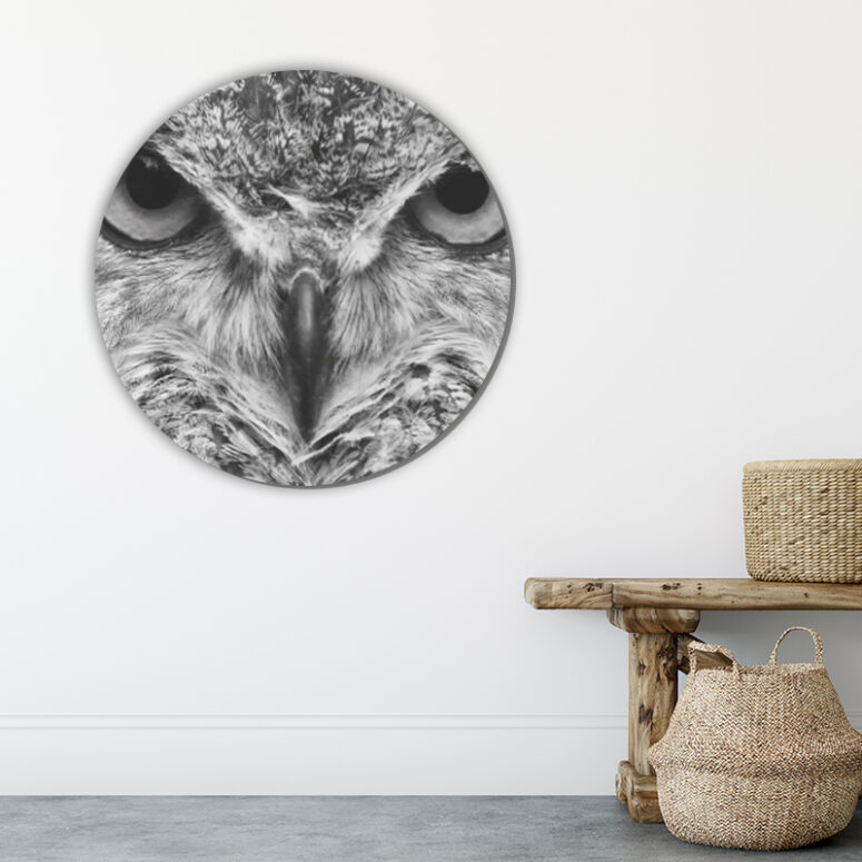 ToF Behangcirkel vogels uil oehoe zwart-wit