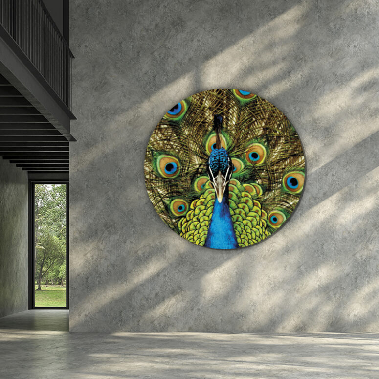 ToF Behangcirkel vogels trotse pauw