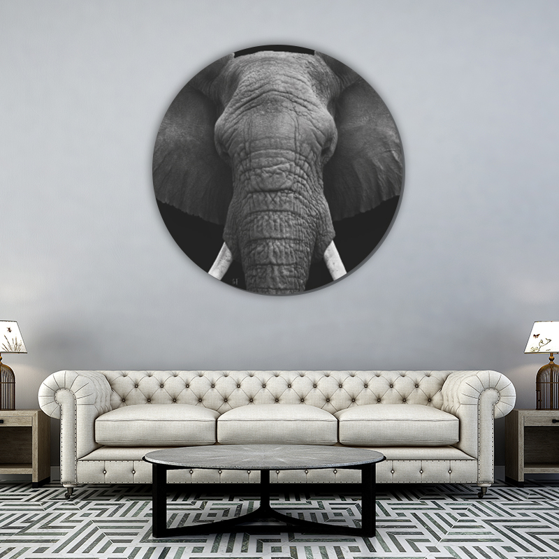 ToF Behangcirkel dierenkop olifant zwart-wit
