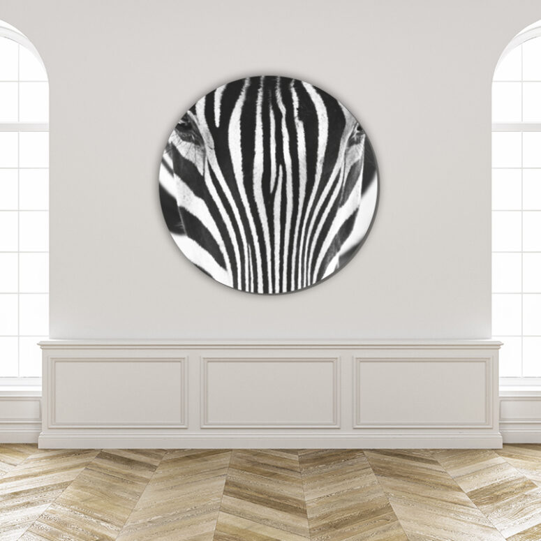ToF Behangcirkel dieren close-up zebra zwart-wit