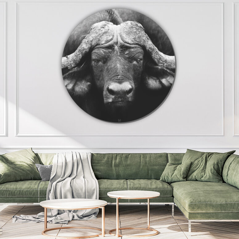 ToF Behangcirkel dieren Afrikaanse buffel zwart-wit