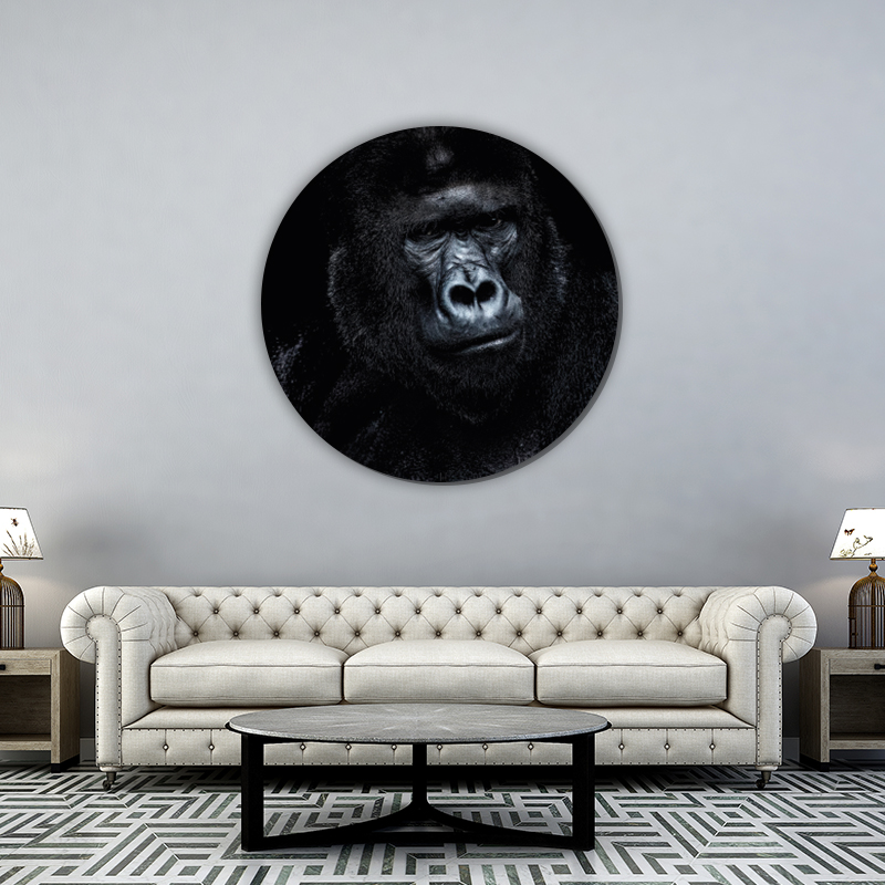 ToF Behangcirkel dieren zilverrug gorilla zwart-wit