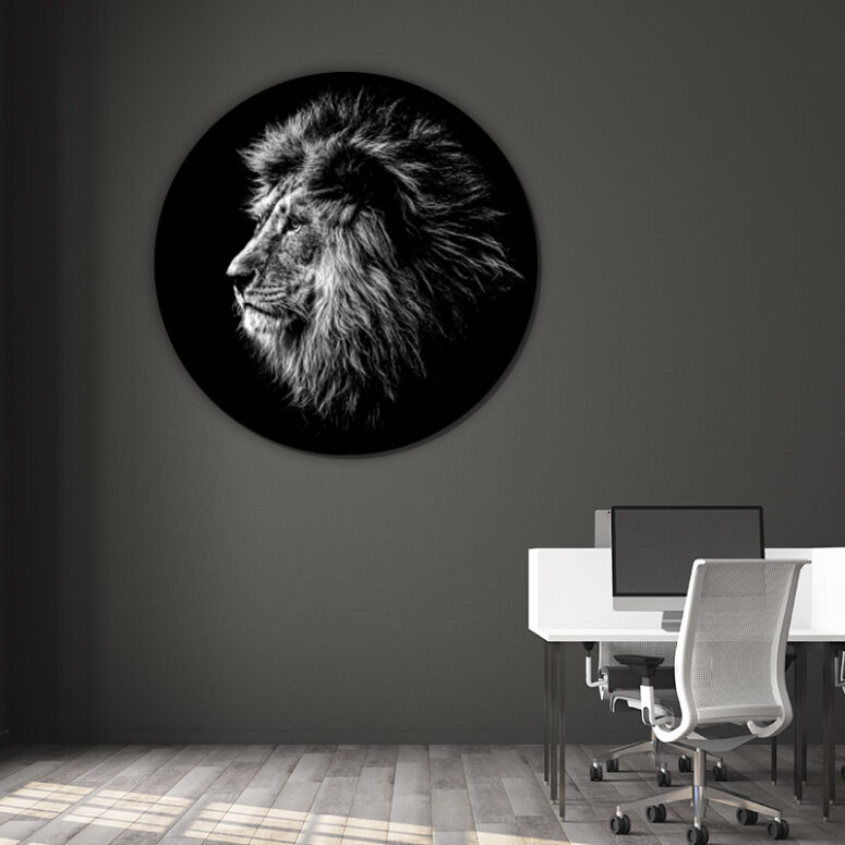 ToF Behangcirkel dieren leeuwenkop zwart-wit