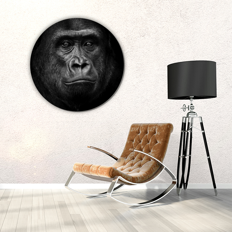 ToF Behangcirkel dieren portret westelijke laagland gorilla zwart-wit