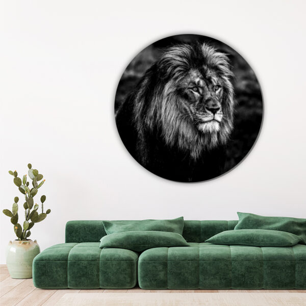 ToF Behangcirkel dieren portret van een leeuw zwart-wit