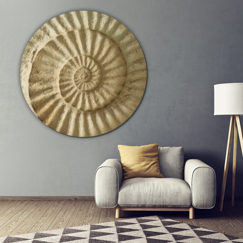 ToF Behangcirkel natuur prehistorisch fossiel