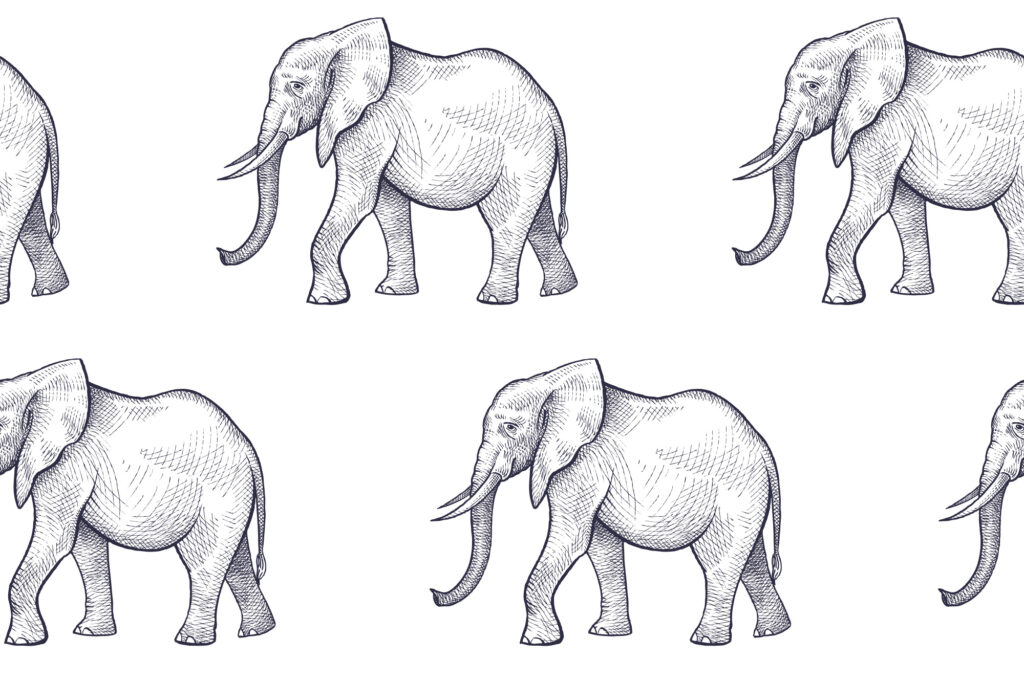 ToF Behang olifant tekening van twee rijen met olifanten