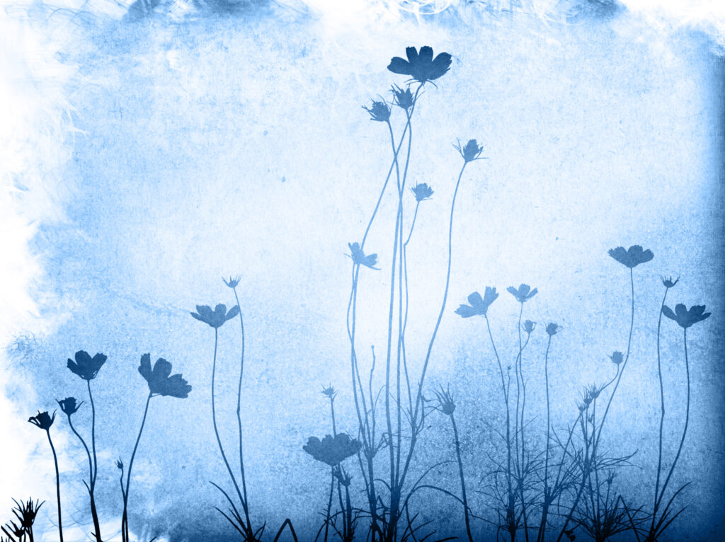 ToF Behang bloemen blauw schilderij