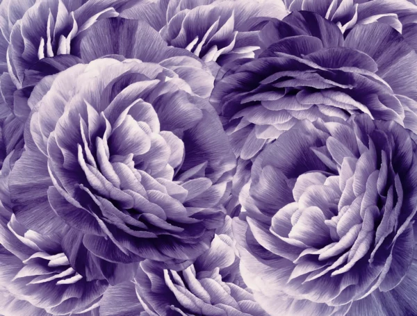 ToF Behang bloemen paars illustratie