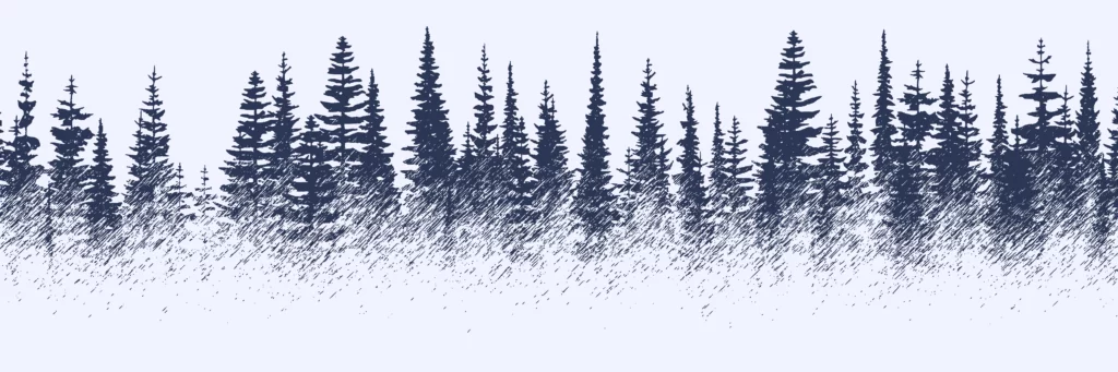 ToF Behang bos schets