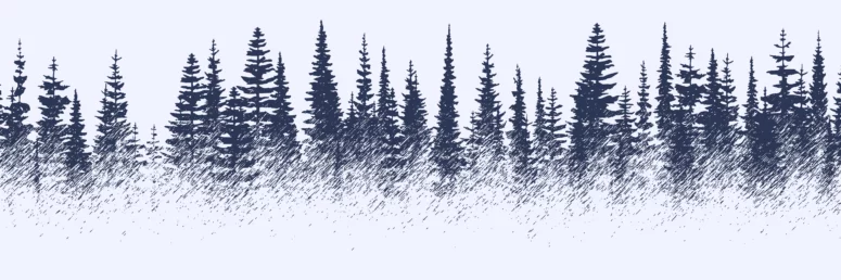 ToF Behang bos schets