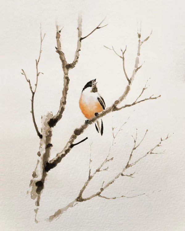 ToF Behang vogel mees op tak met lichte achtergrond
