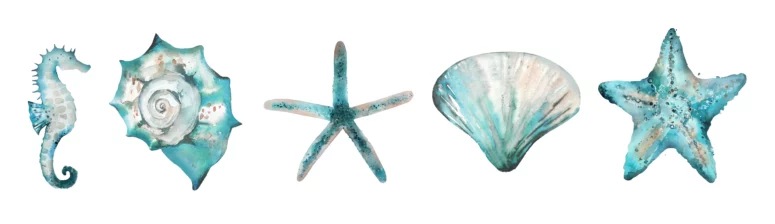 ToF Behang zee schelpen, zeesterren, zeepaardje,