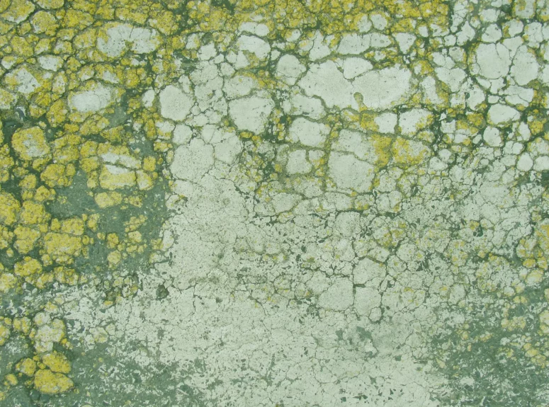 ToF Behang groen geel met gebroken verf